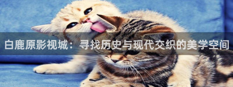红叶影城：白鹿原影视城：寻找历史与现代交织的美学空间
