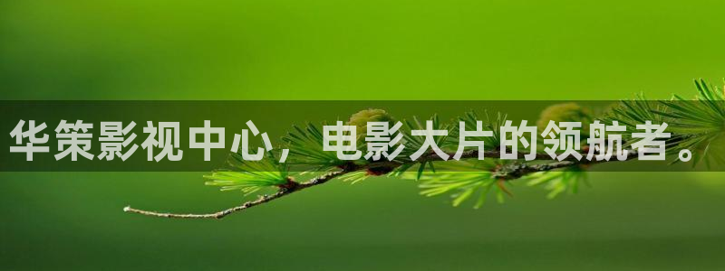 六安红叶影城今日电影：华策影视中心，电影大片的领航者。
