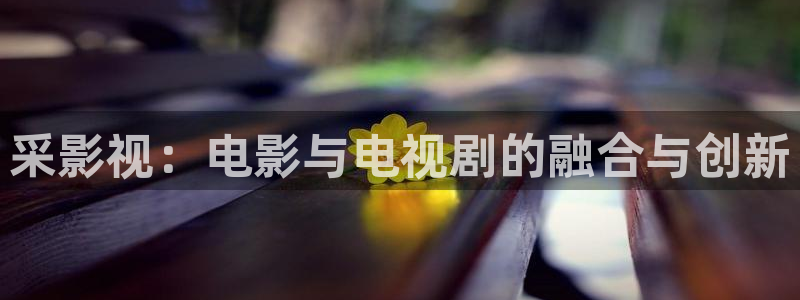 红叶影院下载：采影视：电影与电视剧的融合与创新