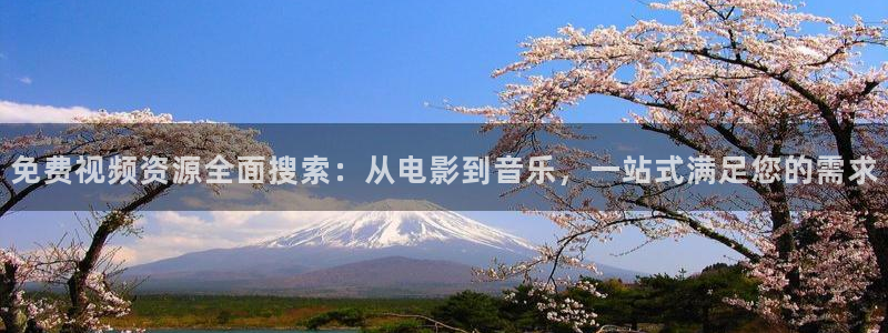 红叶影城电影：免费视频资源全面搜索：从电影到音乐，一站式满足您的需求