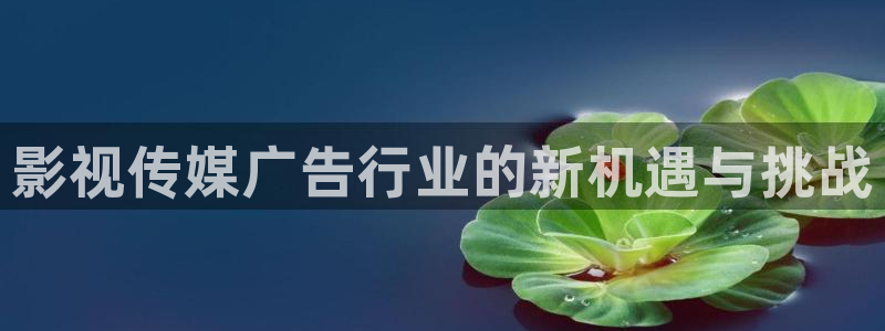 六安红叶国际影城：影视传媒广告行业的新机遇与挑战