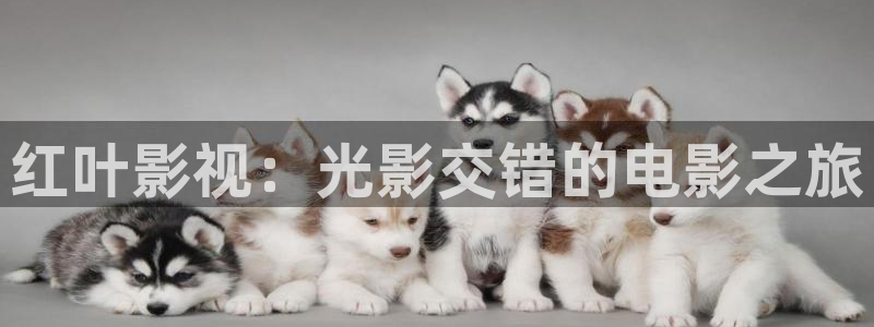 红叶影院免费观看电视剧：红叶影视：光影交错的电影之旅
