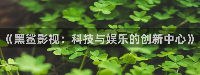 红叶影视：《黑鲨影视：科技与娱乐的创新中心》