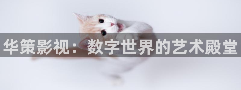 六安红叶影城今日电影：华策影视：数字世界的艺术殿堂