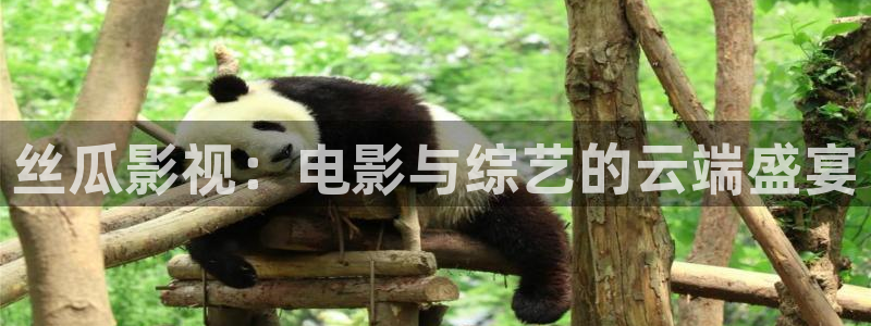 红叶影城：丝瓜影视：电影与综艺的云端盛宴
