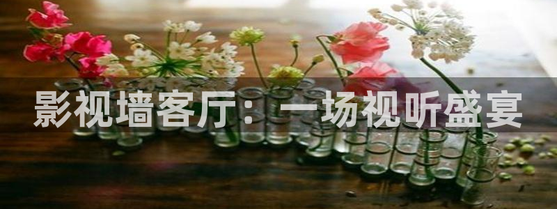 红叶影院下载：影视墙客厅：一场视听盛宴